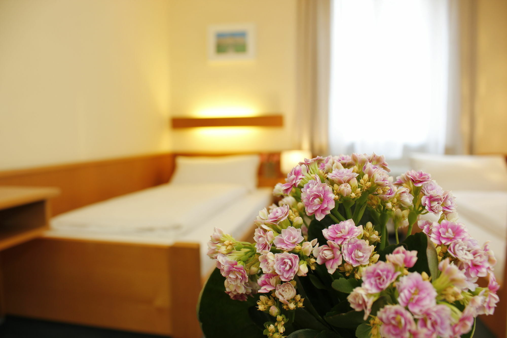 City Hotel Würzburg Buitenkant foto